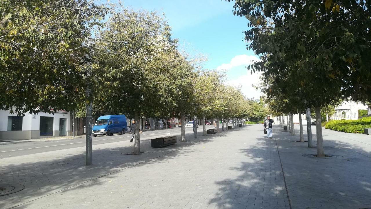 Temporary Alicante Hm Dış mekan fotoğraf
