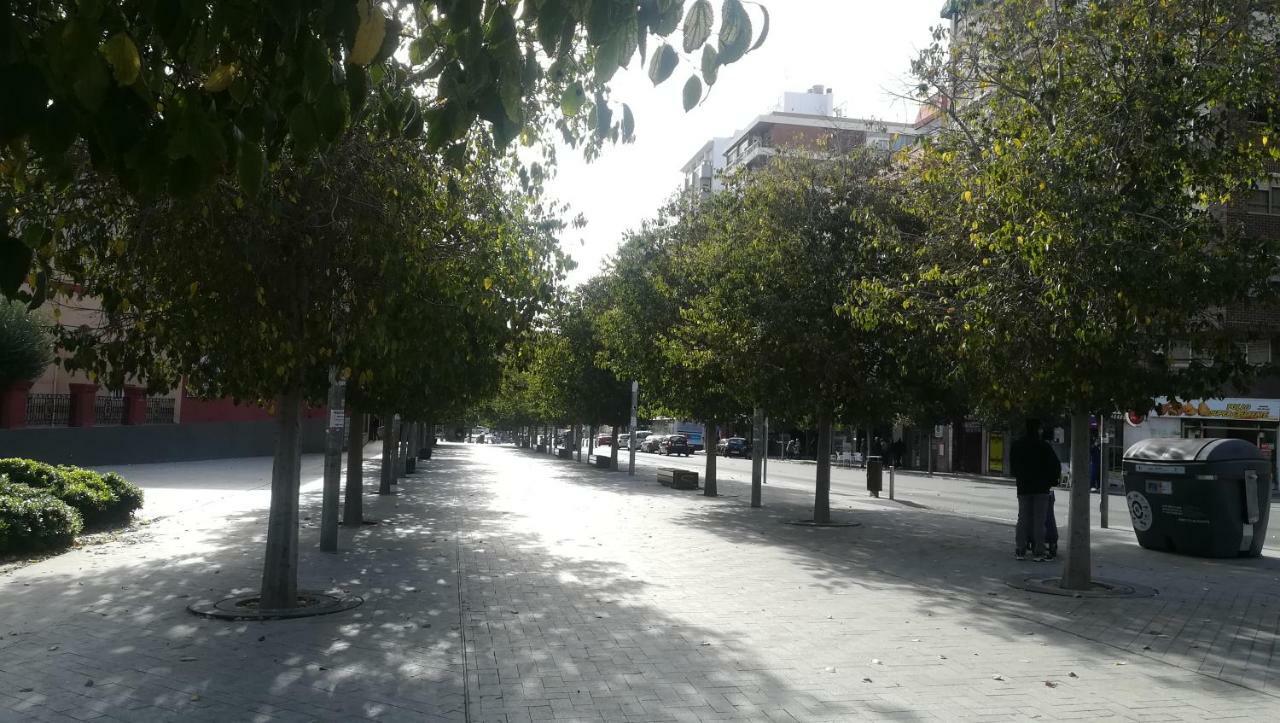 Temporary Alicante Hm Dış mekan fotoğraf
